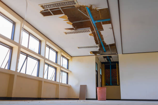Best Fire Damage Restoration  in Cleveland, TN