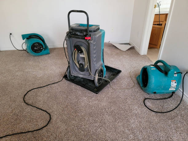 Best Water damage restoration specialists  in Cleveland, TN