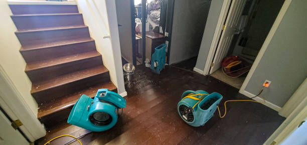 Best Sewage cleanup and water damage restoration  in Cleveland, TN