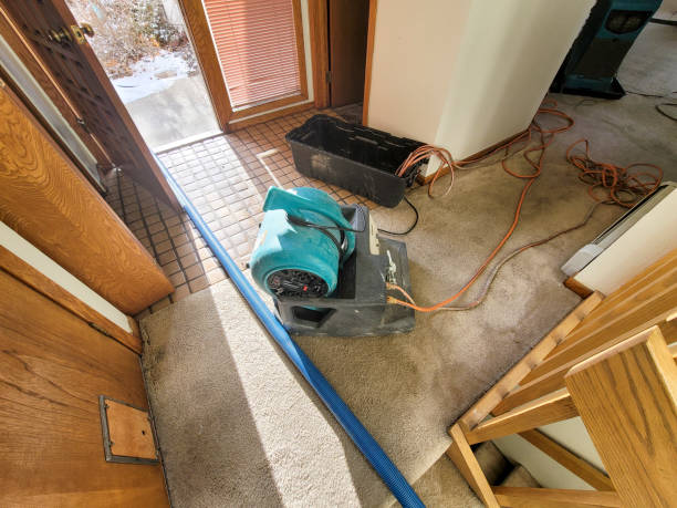 Best Ceiling water damage repair  in Cleveland, TN