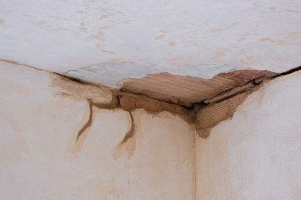 Best Flood damage cleanup  in Cleveland, TN