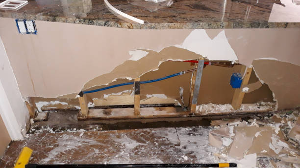 Best Water damage restoration near me  in Cleveland, TN