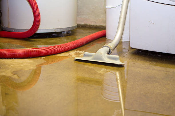 Best Flood restoration services  in Cleveland, TN