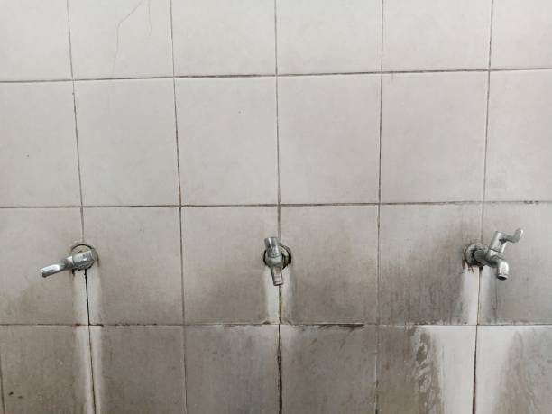 Best Residential water damage restoration  in Cleveland, TN