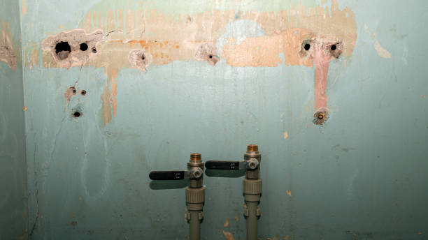 Best Water damage restoration near me  in Cleveland, TN