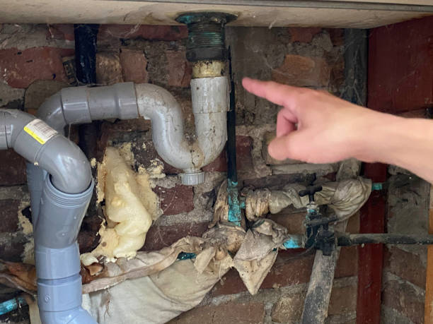 Best Carpet water damage restoration  in Cleveland, TN