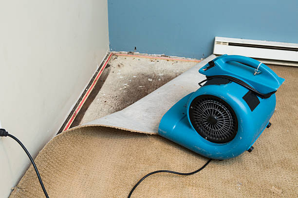 Best Sewage cleanup and water damage restoration  in Cleveland, TN